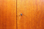 Mid Century Schrank Retro Vintage Highboard Regal Holz