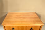 Vintage Space Mid Century Vertiko Kommode aus Holz mit abgerundeter Deckplatte und schwarzen Ringgriffen
