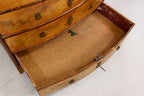 Antike Biedermeier Kommode Nussbaum um 1820 1850 Originales Sammlerstück Antique Chest of Drawers